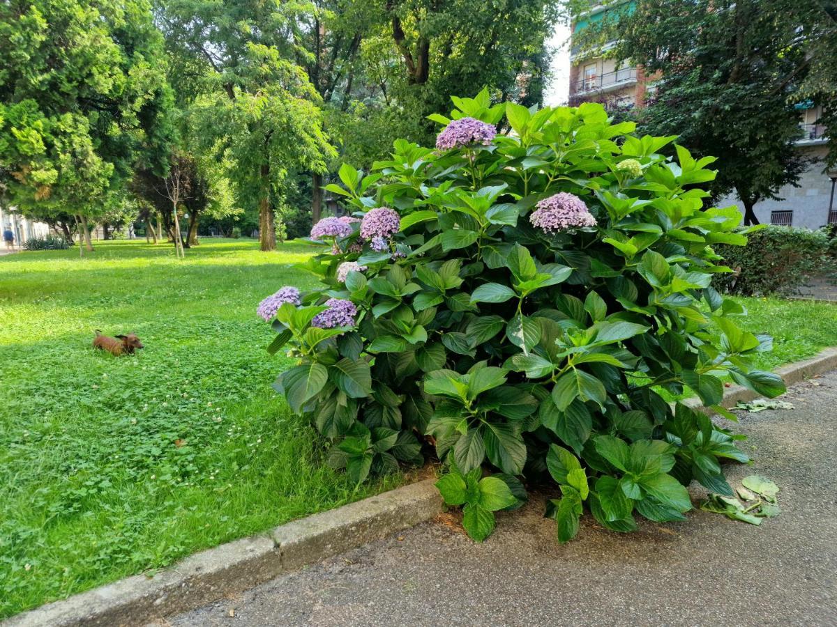 Giardino Sul Naviglio Apartamento Milão Exterior foto